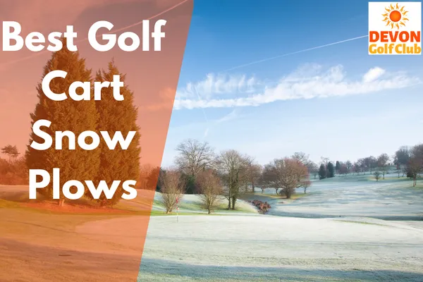 Best Golf Cart Snow Plows